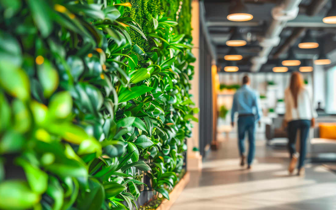 5 piante che fanno bene all’ambiente di lavoro